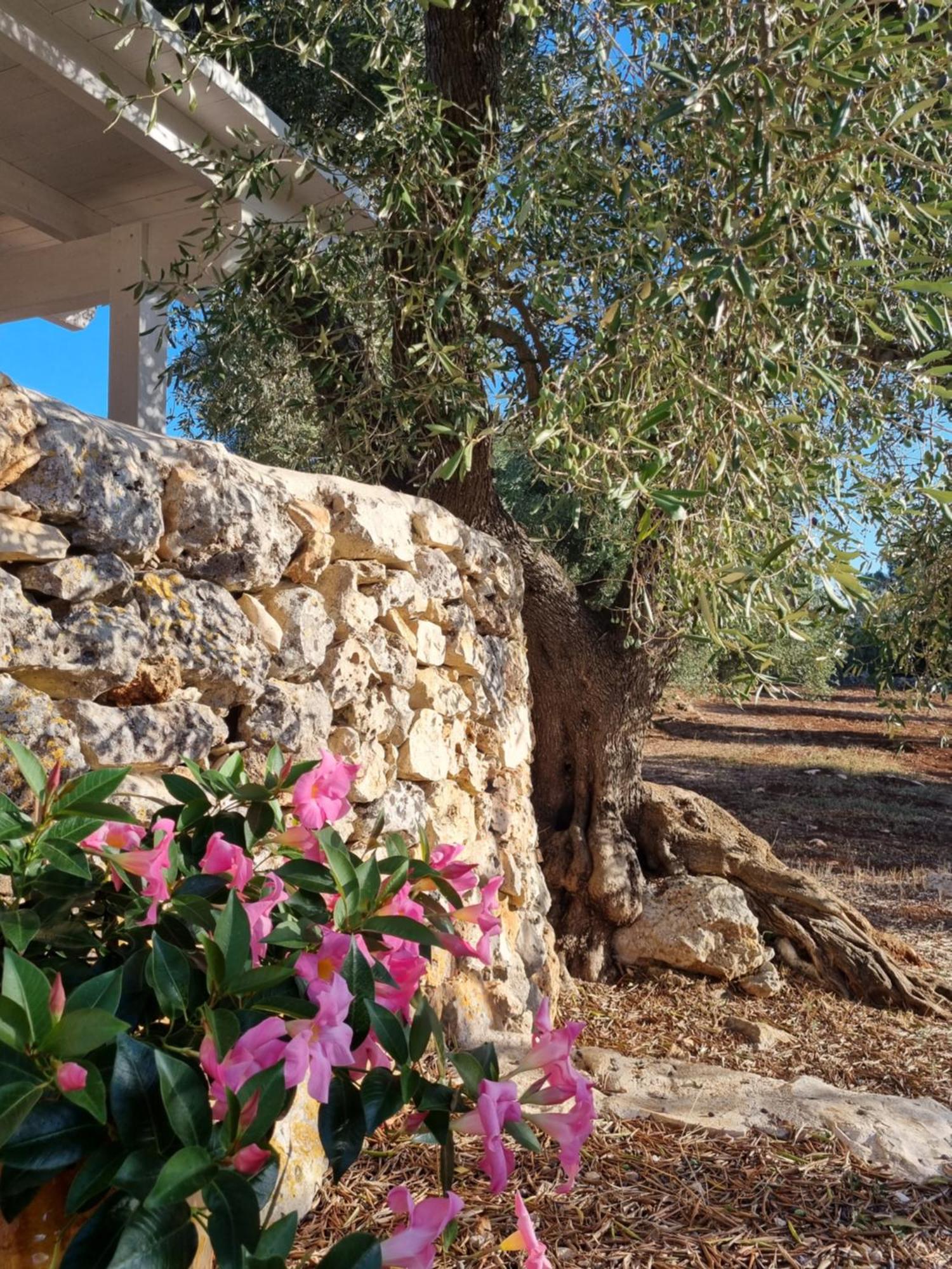 Bed and Breakfast Trulli Di Spinaruta Ґроттальє Екстер'єр фото