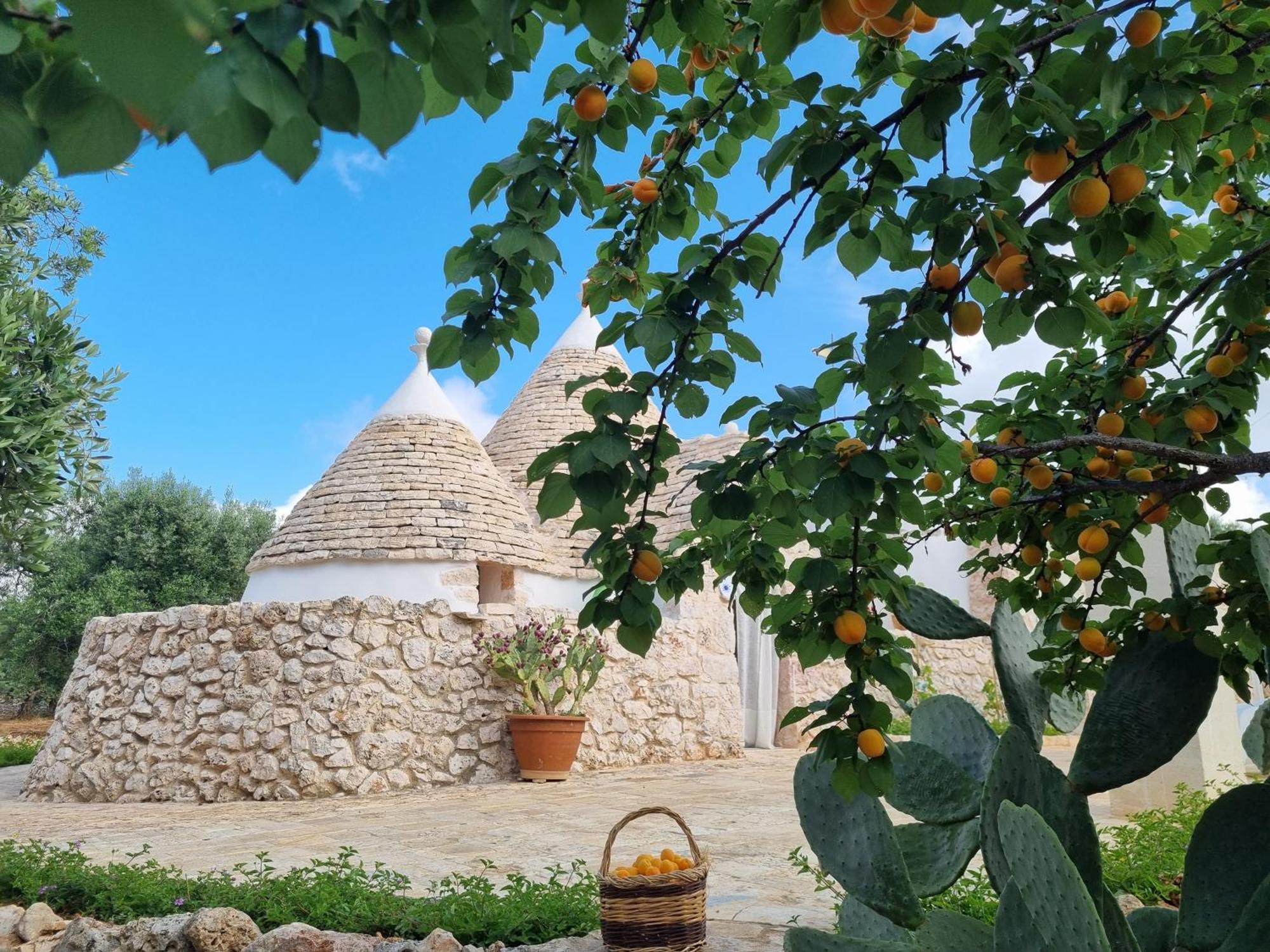 Bed and Breakfast Trulli Di Spinaruta Ґроттальє Екстер'єр фото